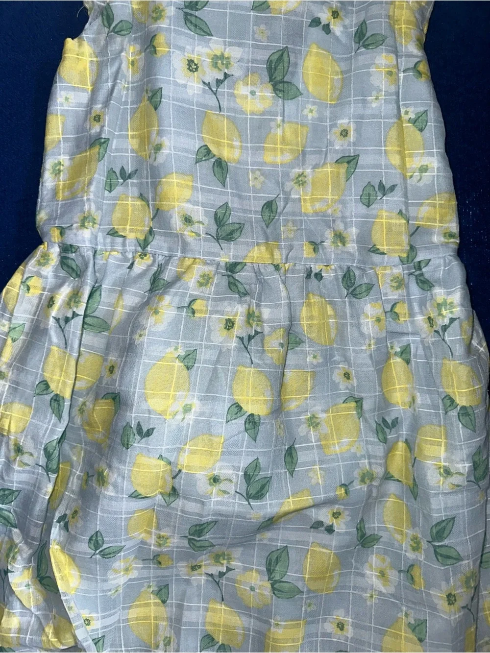Draper James Girls Dress Blue Yellow Lemon Print Flutter Sleeves Sz 10 NWT purse